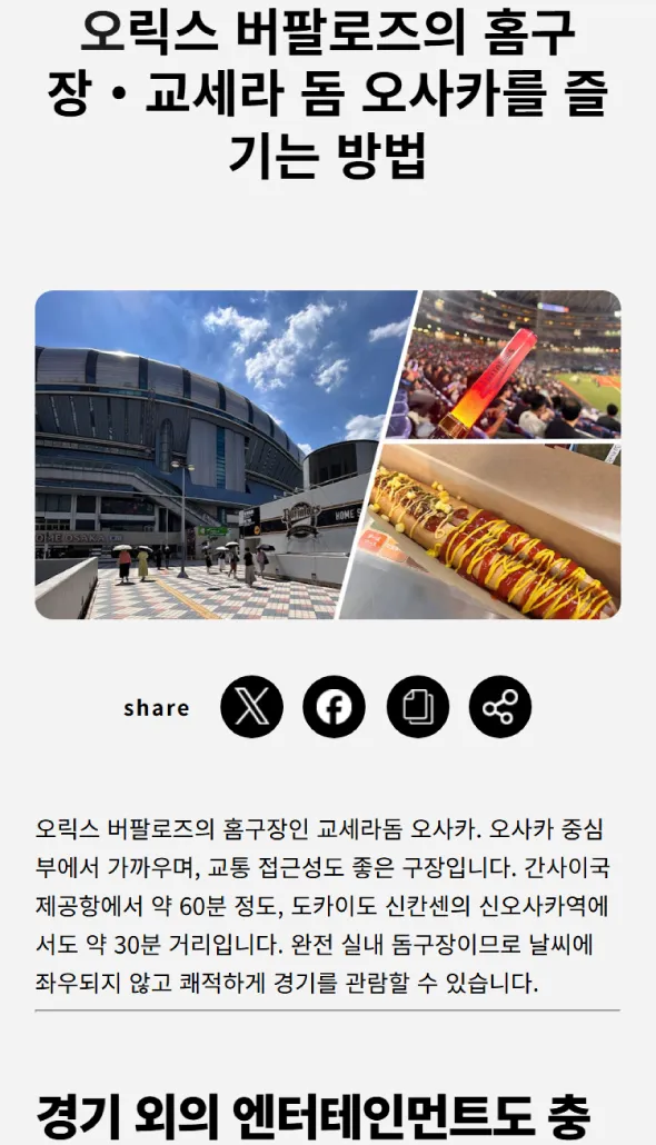 韓国版 オリックス・バファローズ紹介記事